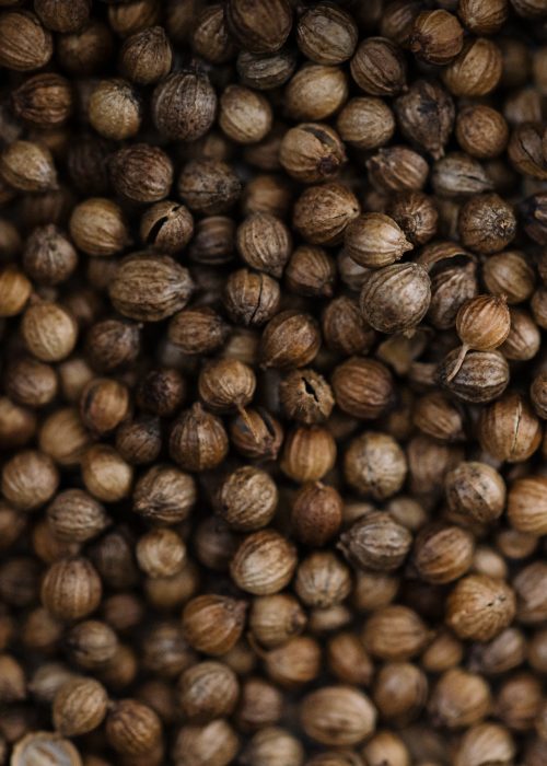 18 Botanicals - Coriander