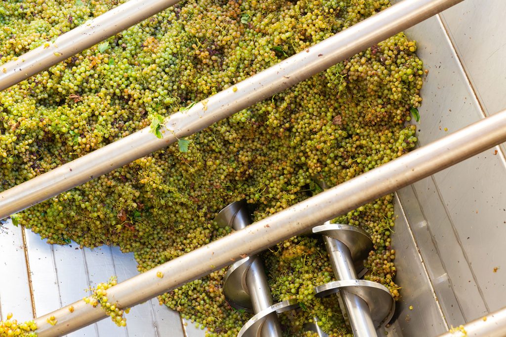 Distilling Grapes for Gin